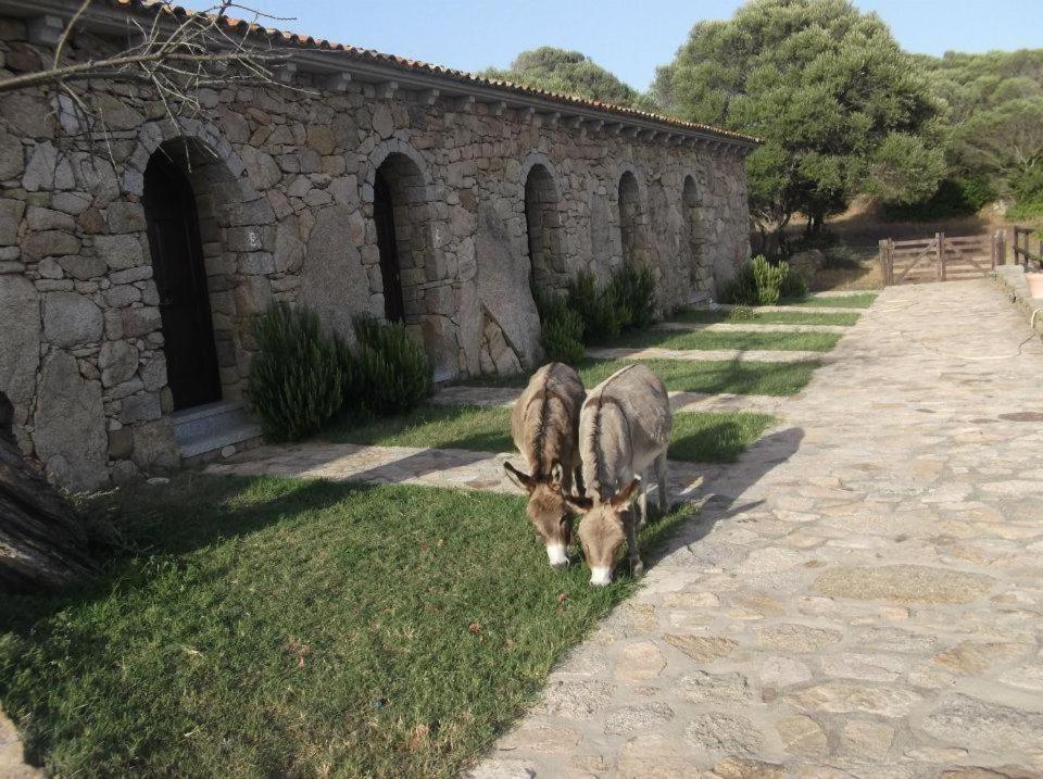 B&B L' Incantu Санта-Тереза-Галлура Экстерьер фото